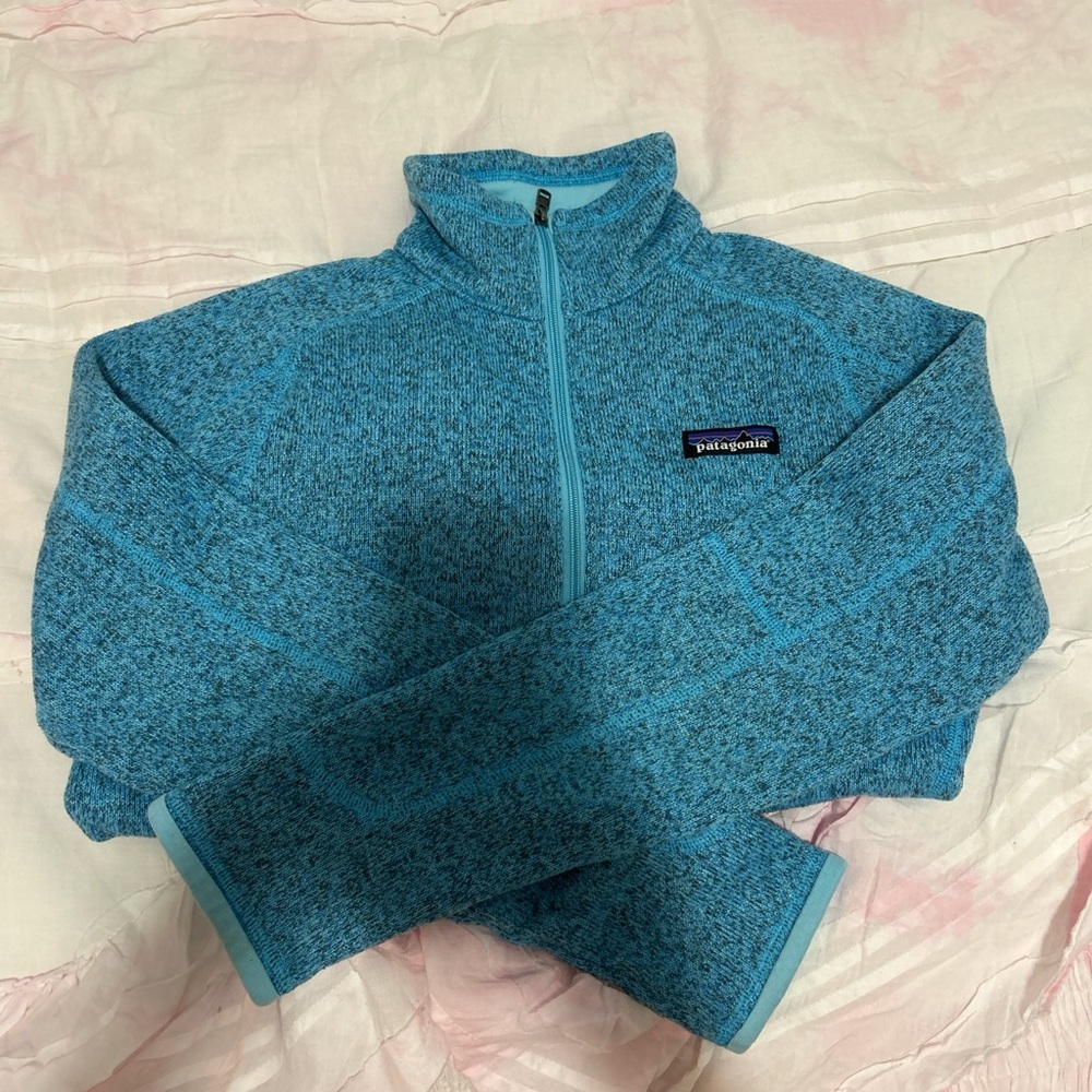 Patagonia Light Blue Better sweater Jacket